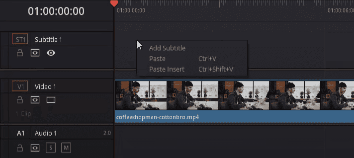 How to Add Subtitles in DaVinci Resolve 17?