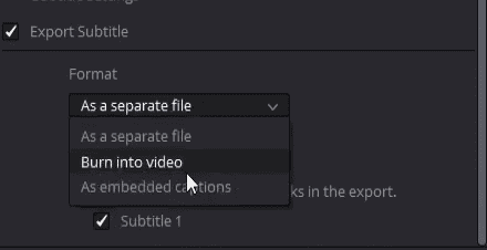 How to Export Subtitles from DaVinci Resolve 17