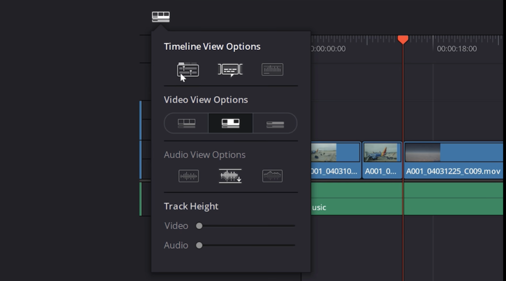 timeline option in DaVinci resolve