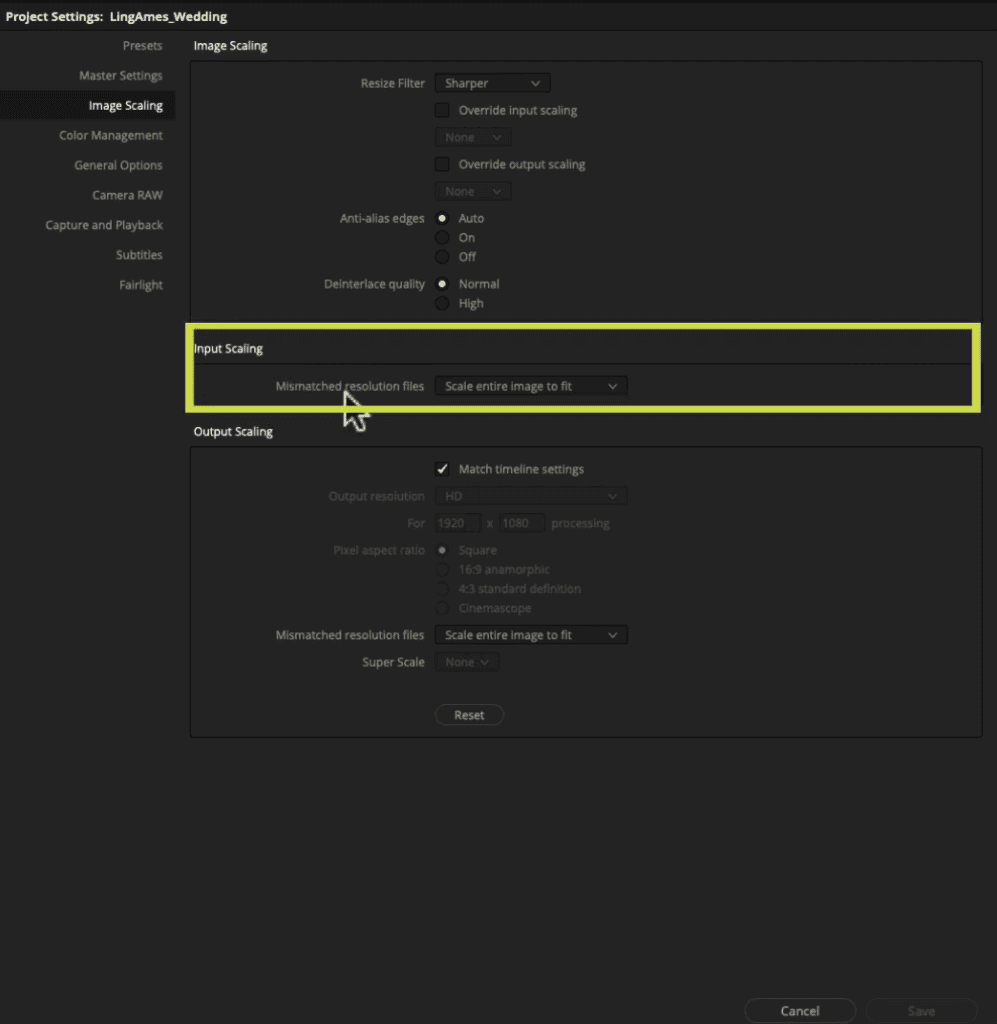 Input scaling in DaVinci Resolve