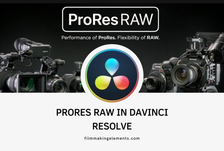 How To Use ProRes RAW In Davinci Resolve (Finally Solved!)