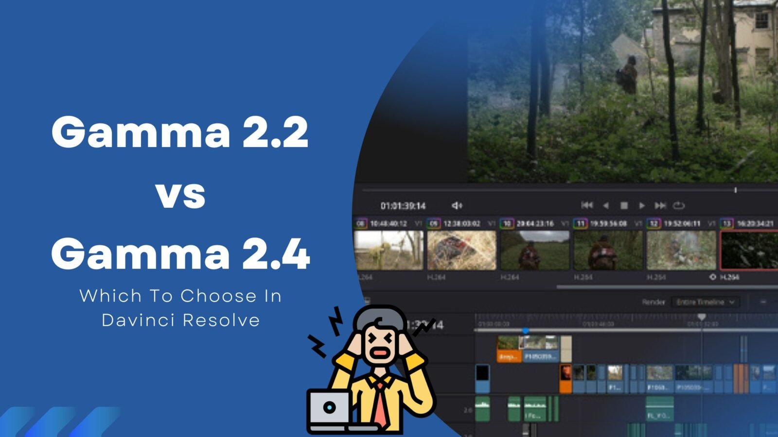 Gamma 2.2 vs Gamma 2.4 Which To Choose In Davinci Resolve