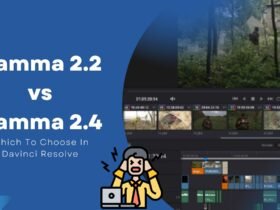 Gamma 2.2 vs Gamma 2.4 Which To Choose In Davinci Resolve