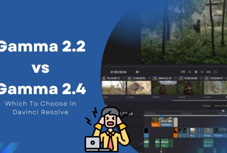 Gamma 2.2 vs Gamma 2.4 Which To Choose In Davinci Resolve