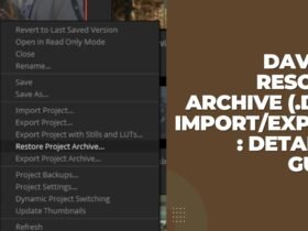 Davinci Resolve Archive (.dra) Import/Export: Detailed Guide