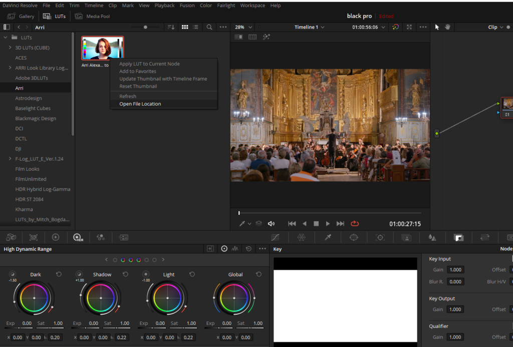 Davinci Resolve LUTs: Import/Export (Tip To Adjust Intensity)