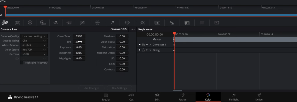 How To Use ProRes RAW In Davinci Resolve (Finally Solved!)