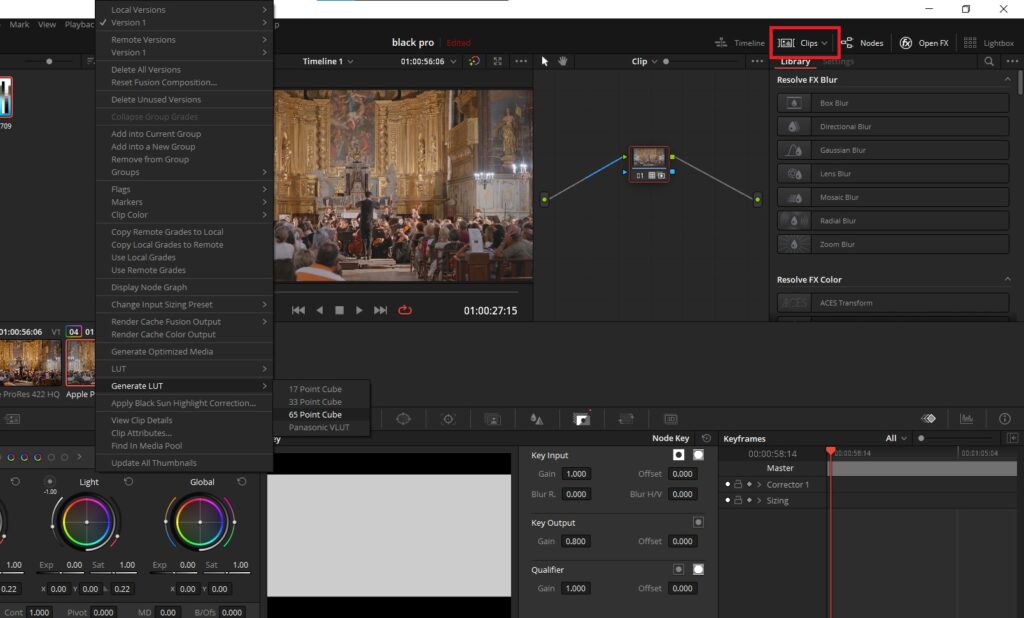 Davinci Resolve LUTs: Import/Export (Tip To Adjust Intensity)