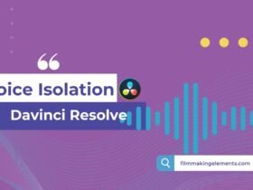 Davinci Resolve Voice Isolation: Step By Step Guide