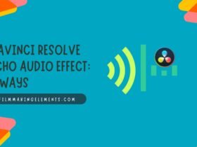 DaVinci Resolve ECHO Audio Effect: 2 Ways