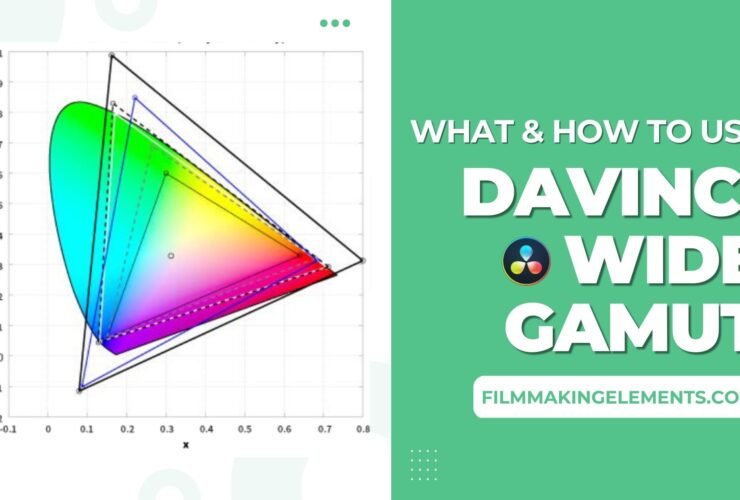 Davinci Wide Gamut: What Is It & How To Use In Davinci Resolve