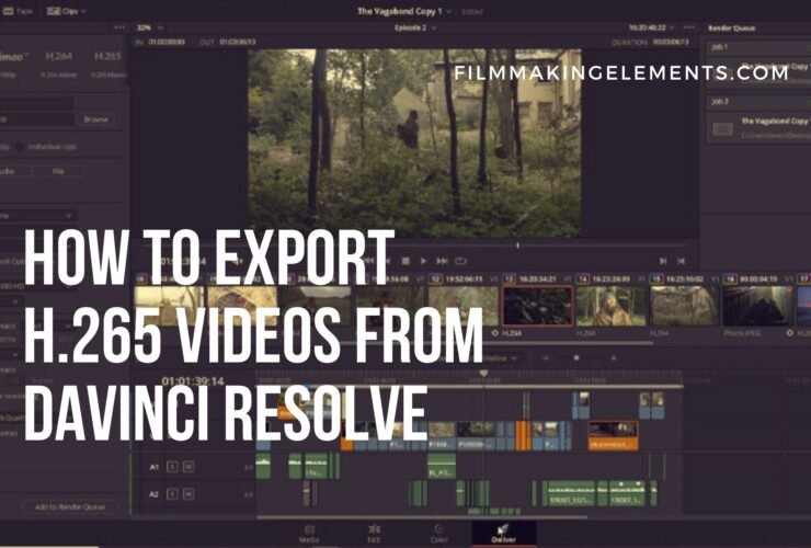 How To Export H.265 Videos From DaVinci Resolve: Explained
