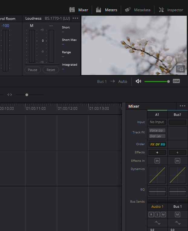 DaVinci Resolve ECHO Audio Effect: 2 Ways