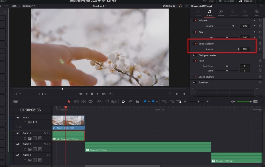 Davinci Resolve Voice Isolation: Step By Step Guide