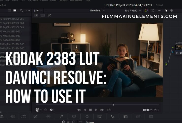 Kodak 2383 LUT DaVinci Resolve: How To Use It (2 Methods)