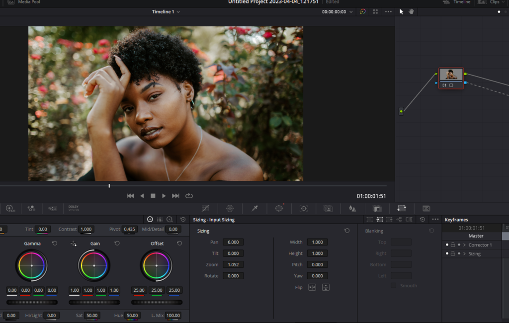 Animate Image In Davinci Resolve: Step By Step Guide