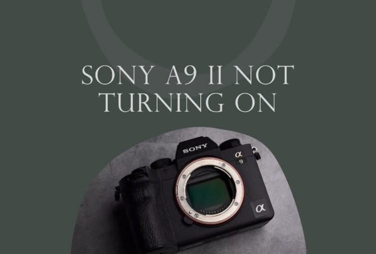 Sony a9 II Not Turning On: Causes and How To Fix It