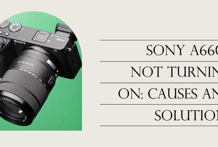 Sony a6600 Not Turning On: Causes and How To Fix It