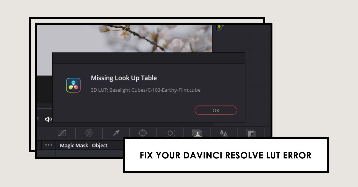 Fix Missing Look Up Table Error In Davinci Resolve (Easy Fix)