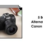 Top 5 Canon EOS R8 Alternatives