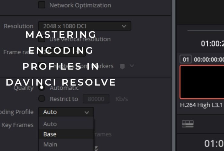 What is the Encoding Profile in DaVinci Resolve- Explained