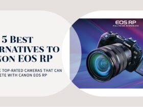 Top 5 Canon EOS RP Alternatives