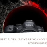 Top 3 Canon EOS R6 Mark II Alternatives