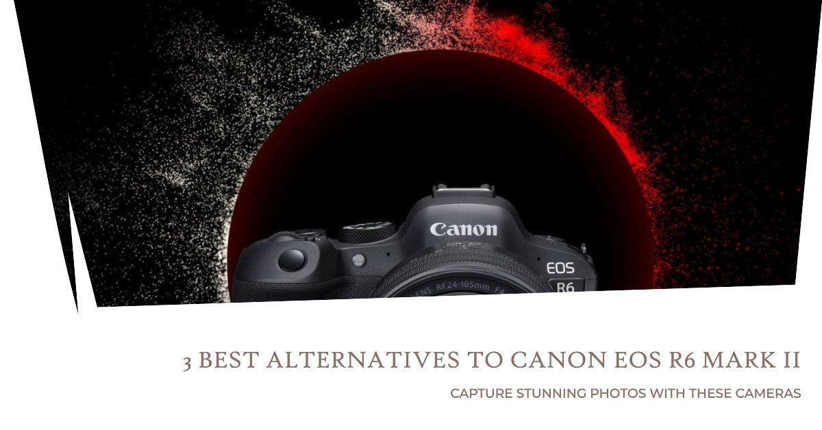Top 3 Canon EOS R6 Mark II Alternatives