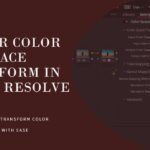 Color Space Transform In DaVinci Resolve: Explained