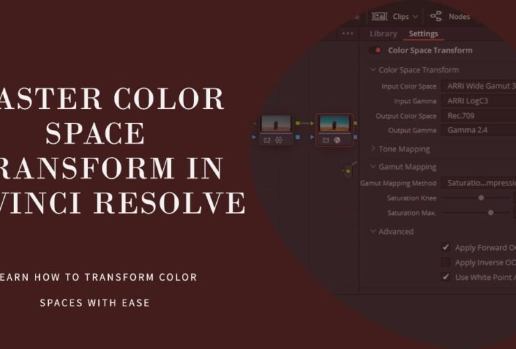 Color Space Transform In DaVinci Resolve: Explained