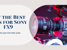 LUTs For Sony FX9: Free Download