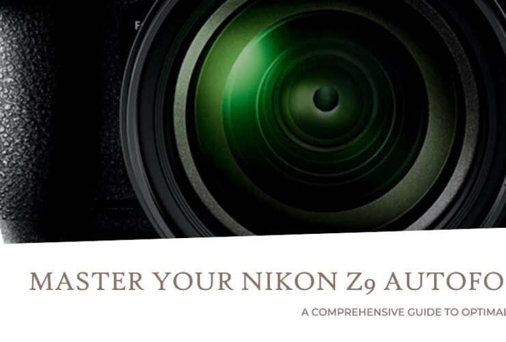 Nikon Z9 Autofocus Settings: Comprehensive Guide