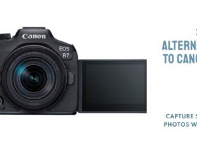 Top 3 Canon EOS R7 Alternatives In 2023