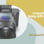 LUTs For Sony a7R II: Free Download