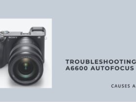 Sony a6600 Autofocus Not Working: Causes and How to Fix It