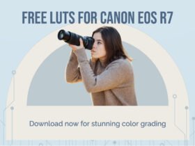 LUTs For Canon EOS R7: Free Download