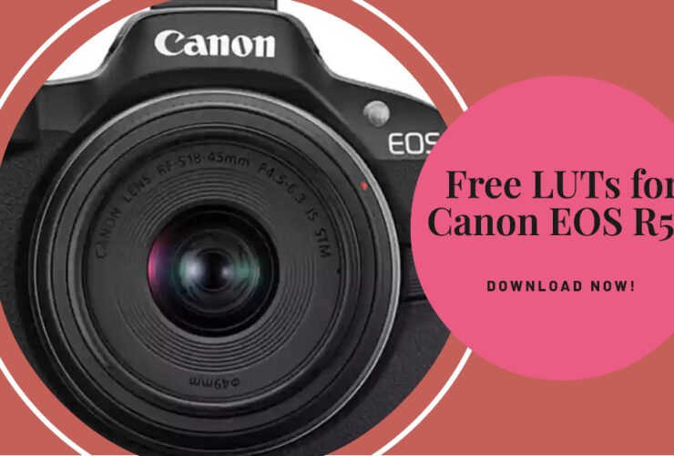 LUTs For Canon EOS R50: Free Download