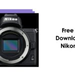 LUTs For Nikon Z50: Free Download