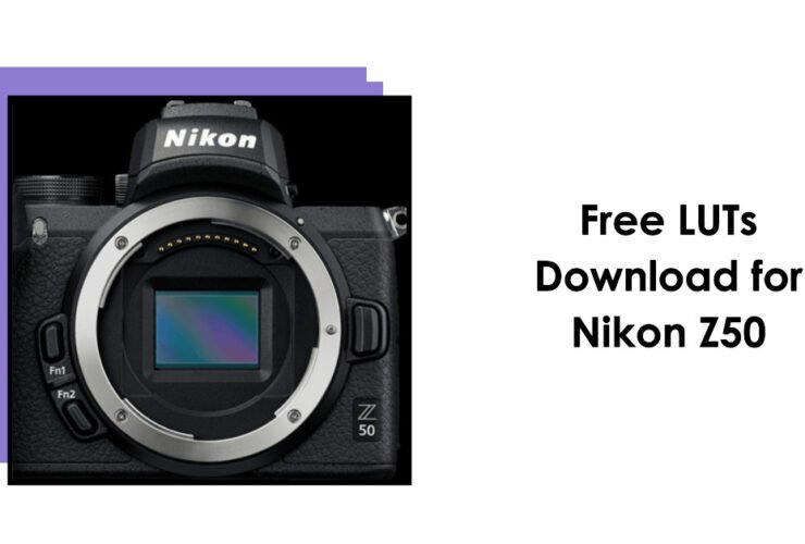 LUTs For Nikon Z50: Free Download