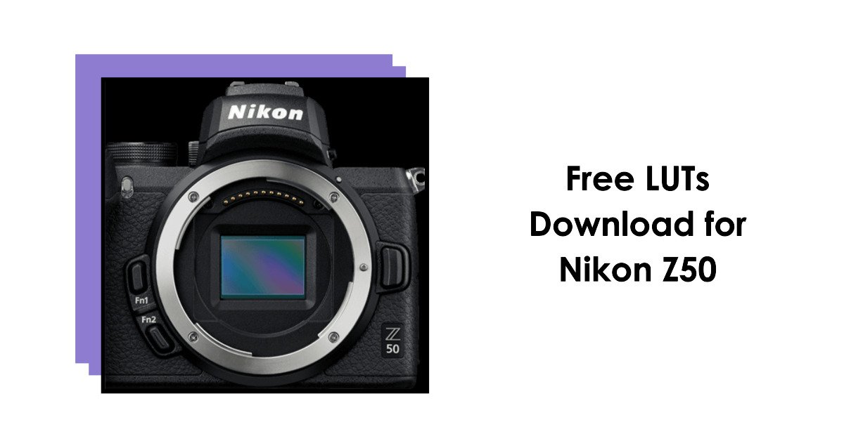 LUTs For Nikon Z50: Free Download