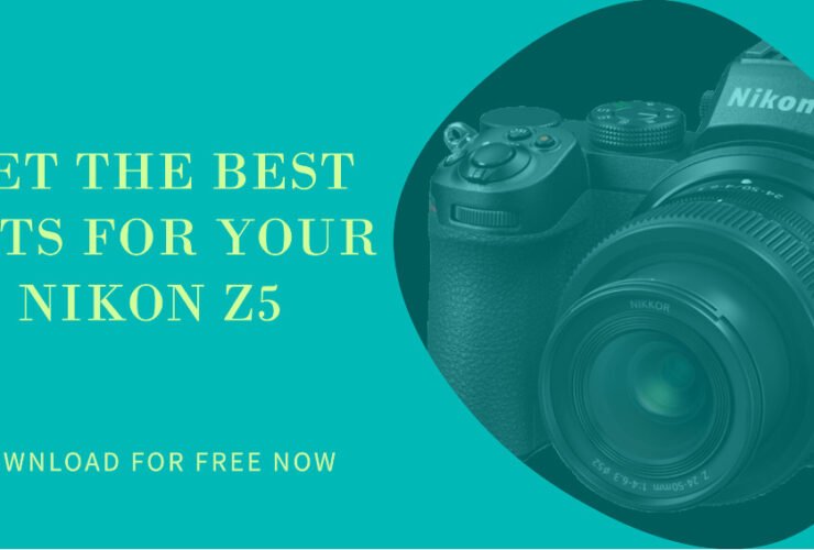 LUTs For Nikon Z5: Free Download