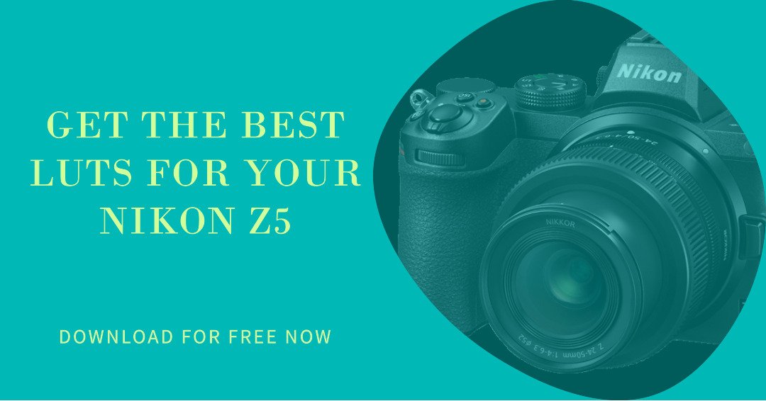 LUTs For Nikon Z5: Free Download