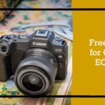 LUTs For Canon EOS R8: Free Download